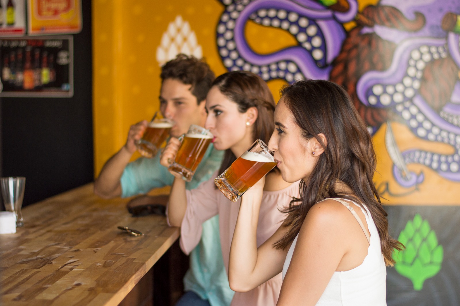 CCDER impulsará programa para fortalecer la industria cervecera artesanal de Playas de Rosarito CCDER impulsará programa para fortalecer la industria cervecera artesanal de Playas de Rosarito