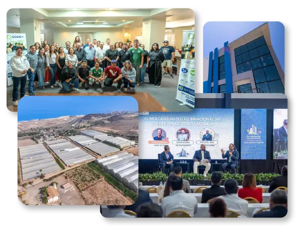 Afiliate CCDER Rosarito Afiliate CCDER Rosarito