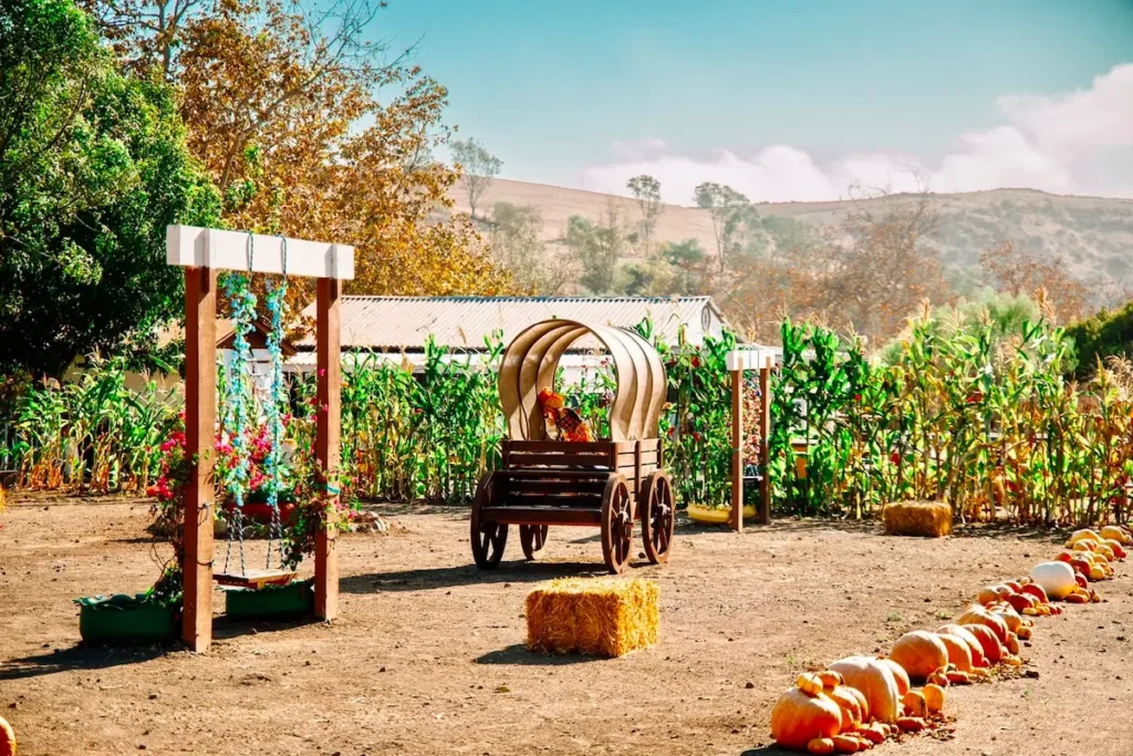 “Mi Negocio en Línea” abre nuevas oportunidades digitales para negocios turísticos de la zona rural de Rosarito